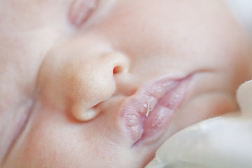 Image showing Newborn baby