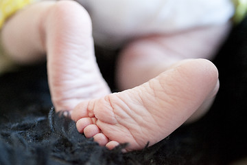 Image showing Baby feet