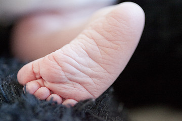 Image showing Baby foot
