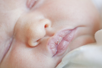 Image showing Newborn baby