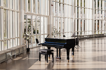 Image showing Grand piano in the hall shined by the sun