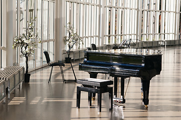 Image showing Grand piano in the hall shined by the sun