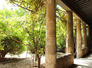 Image showing Garden in Pompeii