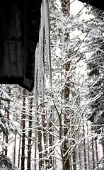Image showing icicles on the roof of a country house
