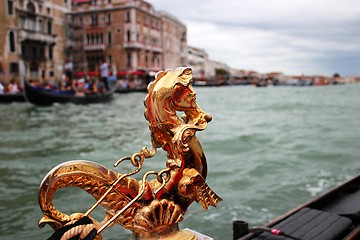 Image showing Golden Skate in Venice