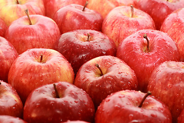 Image showing apple