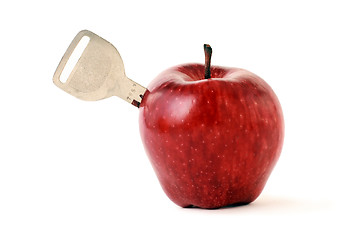 Image showing apple