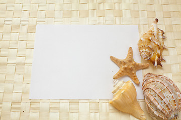 Image showing seashells on a white sheet of paper