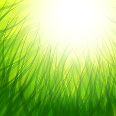 Image showing background with grass