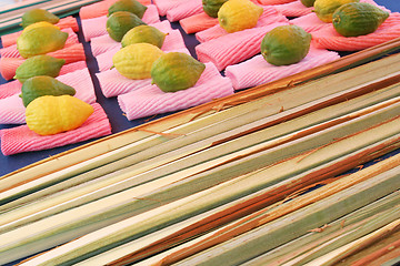 Image showing Jewish citrons & ceremonial palm frond display