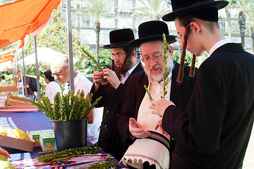 Image showing Orthodox Jews preparing for Sukkoth