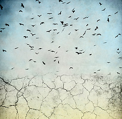 Image showing birds in the sky