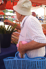 Image showing Orthodox Jews preparing for Sukkoth