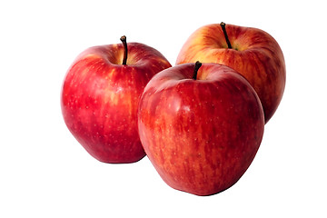 Image showing Apples