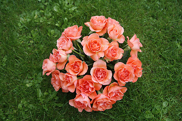 Image showing Pink roses