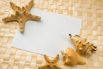 Image showing seashells on a white sheet of paper