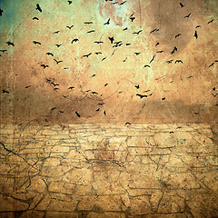 Image showing birds in the sky