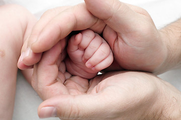 Image showing hands of the baby