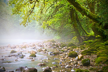 Image showing mountain stream