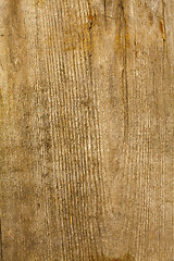 Image showing the brown wood texture