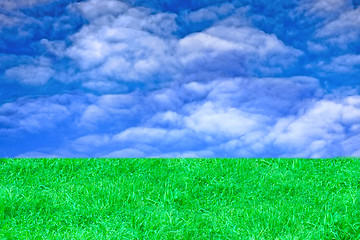 Image showing landscape with green grass and sky