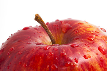 Image showing red apple