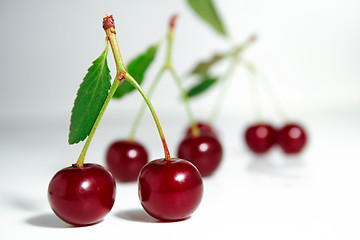 Image showing Cherry