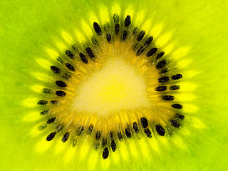 Image showing Kiwi slice