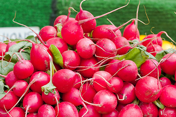 Image showing Radishes