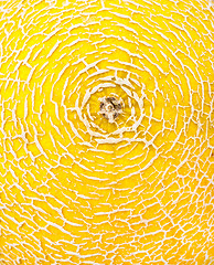 Image showing Melon skin