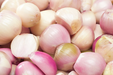 Image showing Shallots