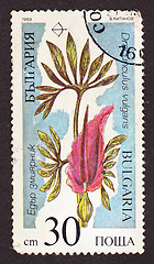 Image showing Postal stamp