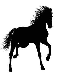 Image showing Vector horse