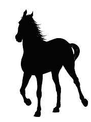 Image showing Vector horse