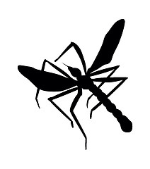 Image showing Mosquito