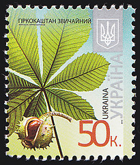 Image showing Ukrainian Postal Stamp