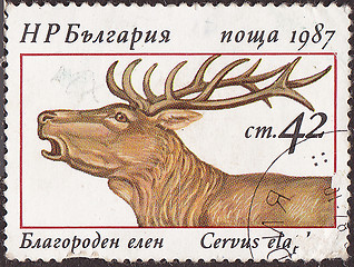 Image showing Post stamp