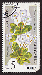 Image showing Postal stamp