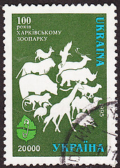 Image showing Ukrainian post stamp