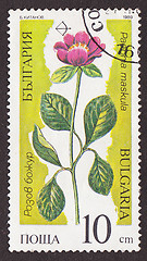 Image showing Postal stamp