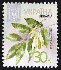 Image showing Ukrainian Postal Stamp