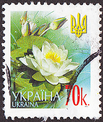 Image showing Ukrainian post stamp