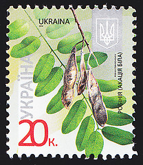 Image showing Ukrainian Postal Stamp