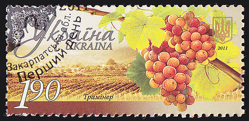 Image showing Ukrainian Postal Stamp