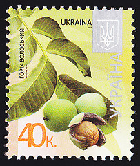 Image showing Ukrainian Postal Stamp