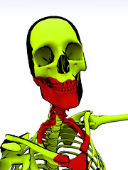 Image showing Cartoon Skeleton With Blood 