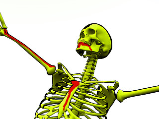 Image showing Cartoon Skeleton With Blood 