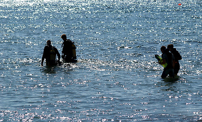 Image showing Scuba Divers