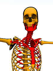 Image showing Cartoon Skeleton With Blood 