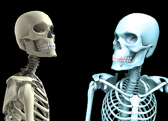 Image showing Two Skulls Looking At Each Other